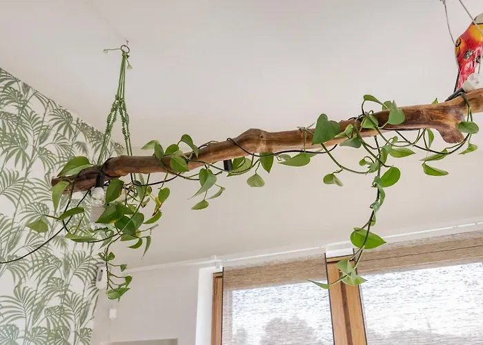 Jardin De Sentidos Semesterbostad *